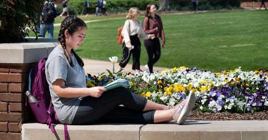 Student sitting on brick wall on campus near Swalm