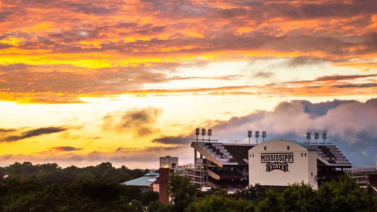 MSU Landscape - Golden Hour