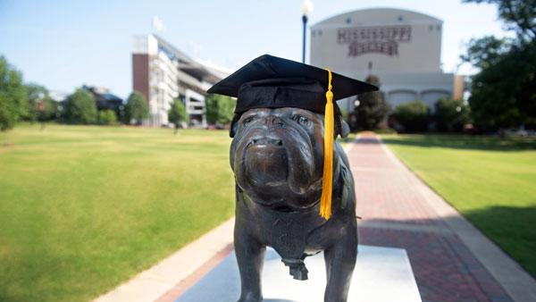 Bully Statue with Graduation Cap On